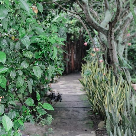 Tiara Homestay Plambi Esterno foto