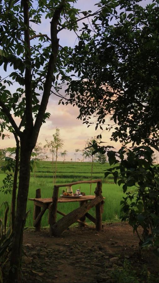 Tiara Homestay Plambi Esterno foto